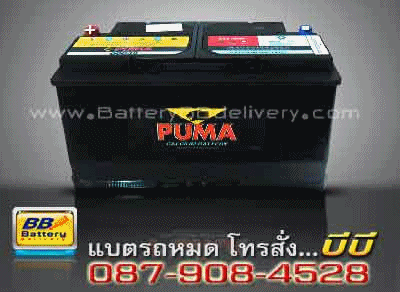 PUMA-60038